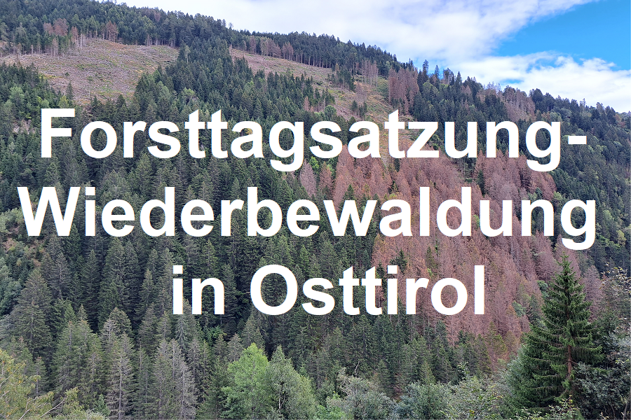 Forsttagsatzung-Wiederbewaldung in Osttirol